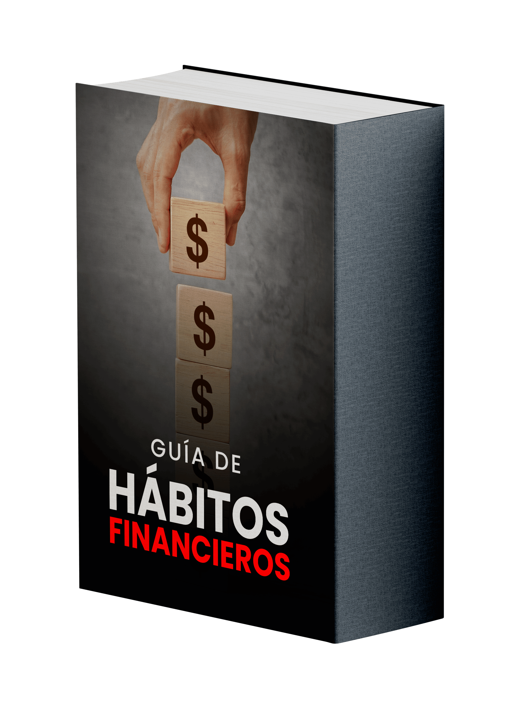 contenido 4